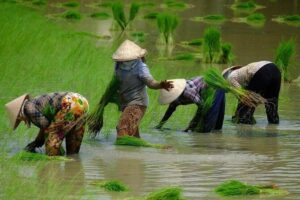2-Day Mekong Delta and Floating Markets Private Tour - From Ho Chi Minh City Pickup to Cai Be Pier on the Mekong