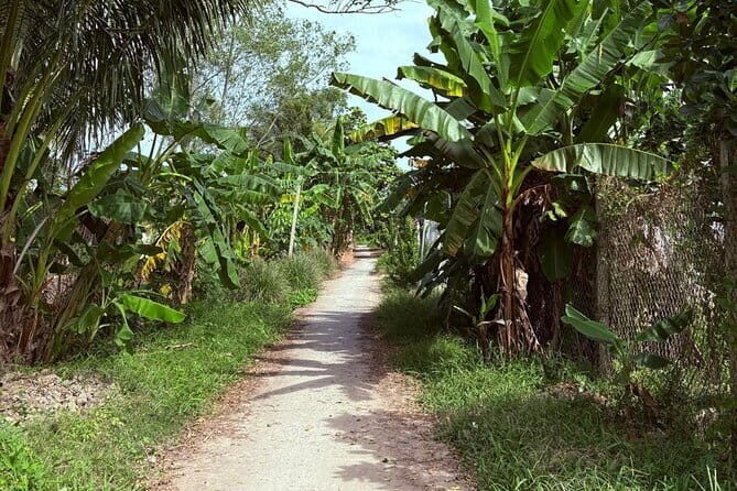 Can Tho Countryside Bike Tour with Fruit Garden Visit - Vườn Sinh Thái Ba Láng fruit garden: the tasting part that counts