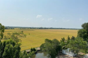 Can Tho: Explore Craft Village & Lung Ngoc Hoang Nature Reserve - The 25-Meter Observation Tower: Views You Can Orient With