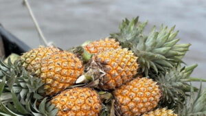Can Tho: Floating Market explore local life, Mekong farm - The Mekong by small boat and peaceful canals (what you’ll really notice)