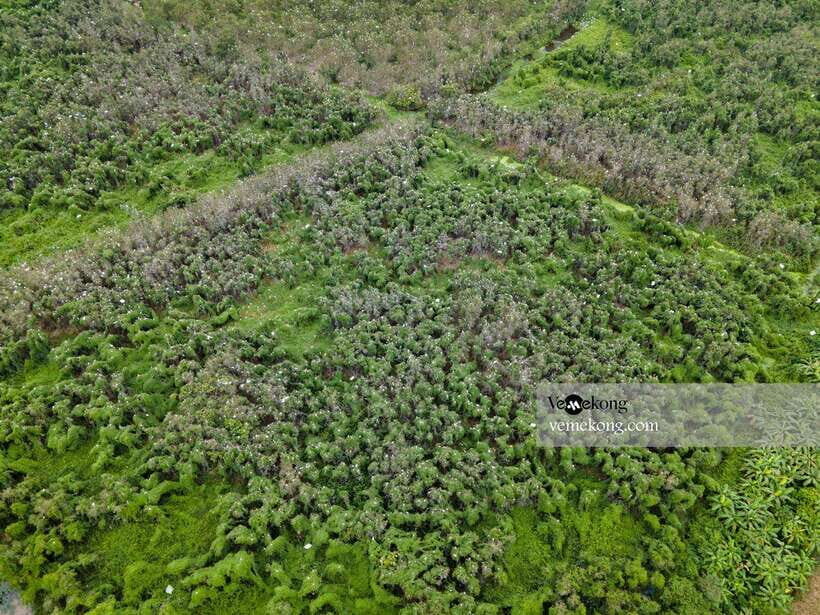 Can Tho: Lung Ngoc Hoang Nature Reserve & Forest Tour - Price and value: what $47 buys you in the real world