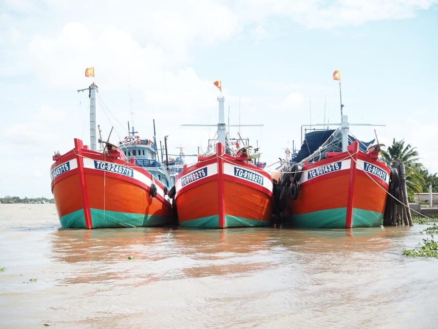 Cu Chi Tunnels and Mekong Delta Full Day Tour - Mekong Delta after lunch: rice fields, ducks, canals, and orchard time