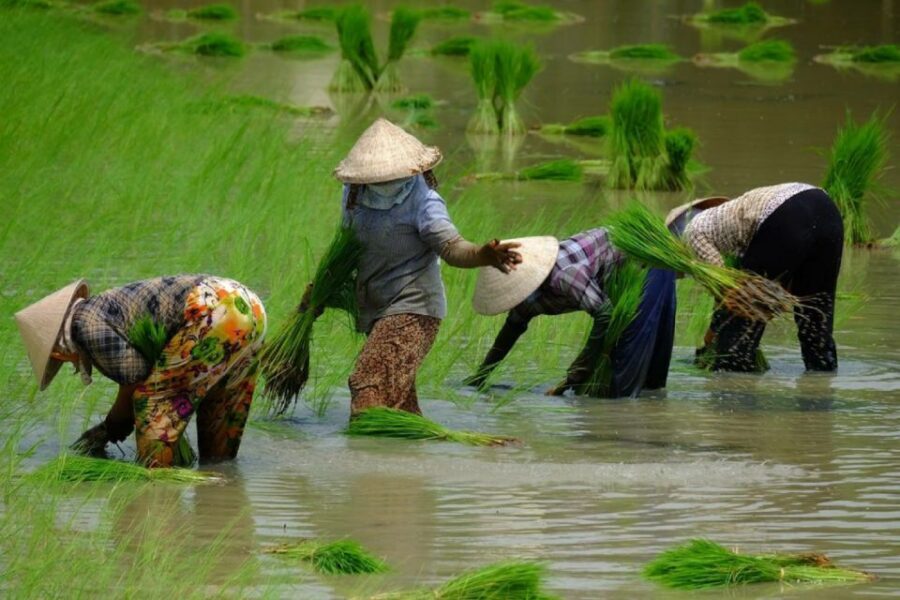 From Ho Chi Minh City: Mekong Delta Full-Day Private Tour - Cai Be Floating Market: Colors, Smells, and Small-Boat Trading
