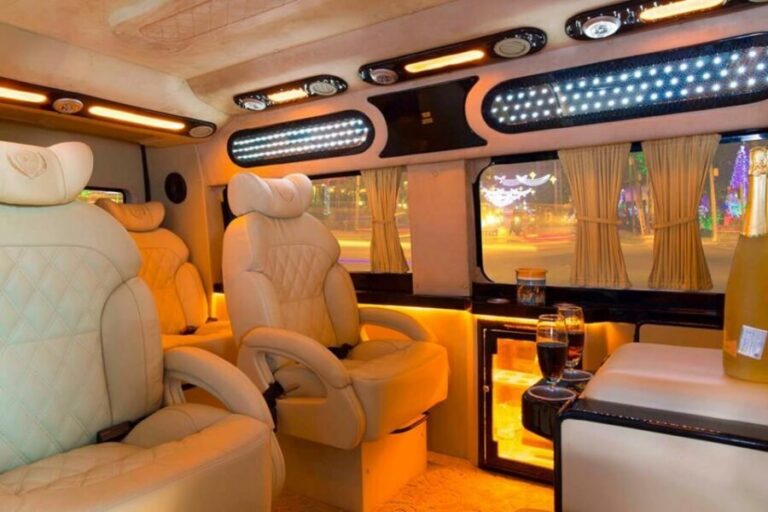 From Ho Chi Minh City: Mekong Delta VIP Tour by Limousine - The 90-minute limousine ride: leaving Ho Chi Minh City without losing comfort