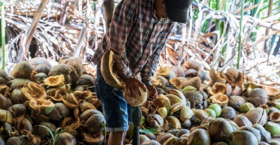 From Ho Chi Minh: Mekong Delta with Ben Tre 1 Day Tour - Why Ben Tre feels more local than tourist hot spots