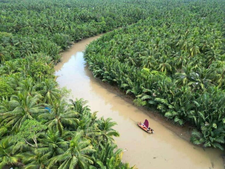 Ho Chi Minh City: Mekong Delta Day Trip with Lunch & Drinks - The drive out of Ho Chi Minh City: long hours, practical stops