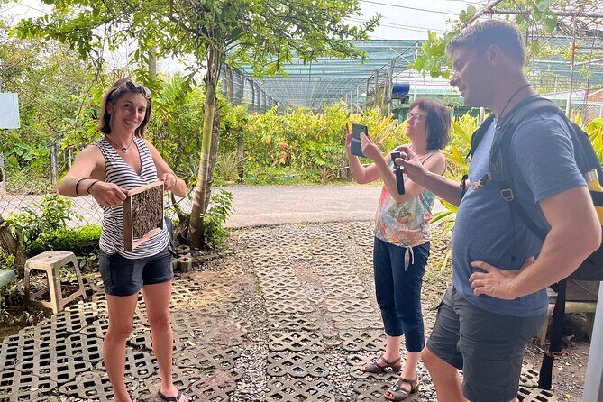 Mekong Day Trip Explore Village Bicycle CookingClass Group 12 Pax - Price and Logistics: what $29 really buys you