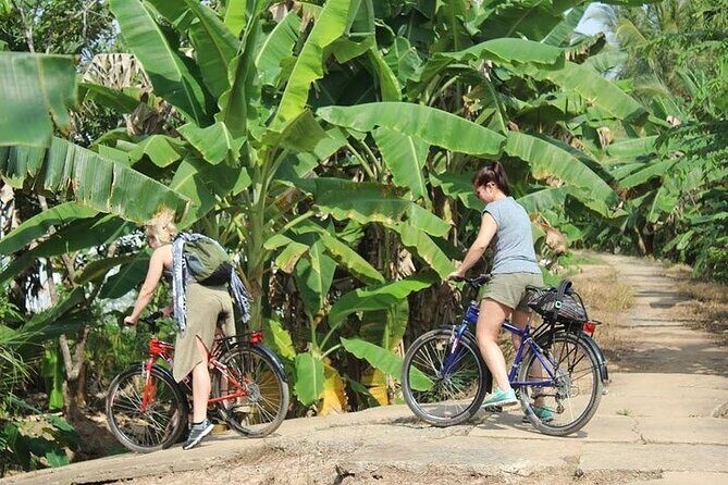 Non Touristy - Mekong Delta 1 Day With Biking - Getting out of Ho Chi Minh City: the 2-hour transfer and bike handoff
