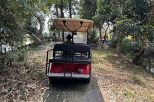 Tour for Nature lover- Lung Ngoc Hoang Nature Reserve in Can Tho - What you do once you reach the reserve: birdwatching, animals, and quiet paths