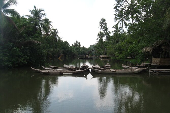 Private Mekong Delta Shore Excursions from Cruise Port - Who should book this My Tho and Ben Tre shore excursion